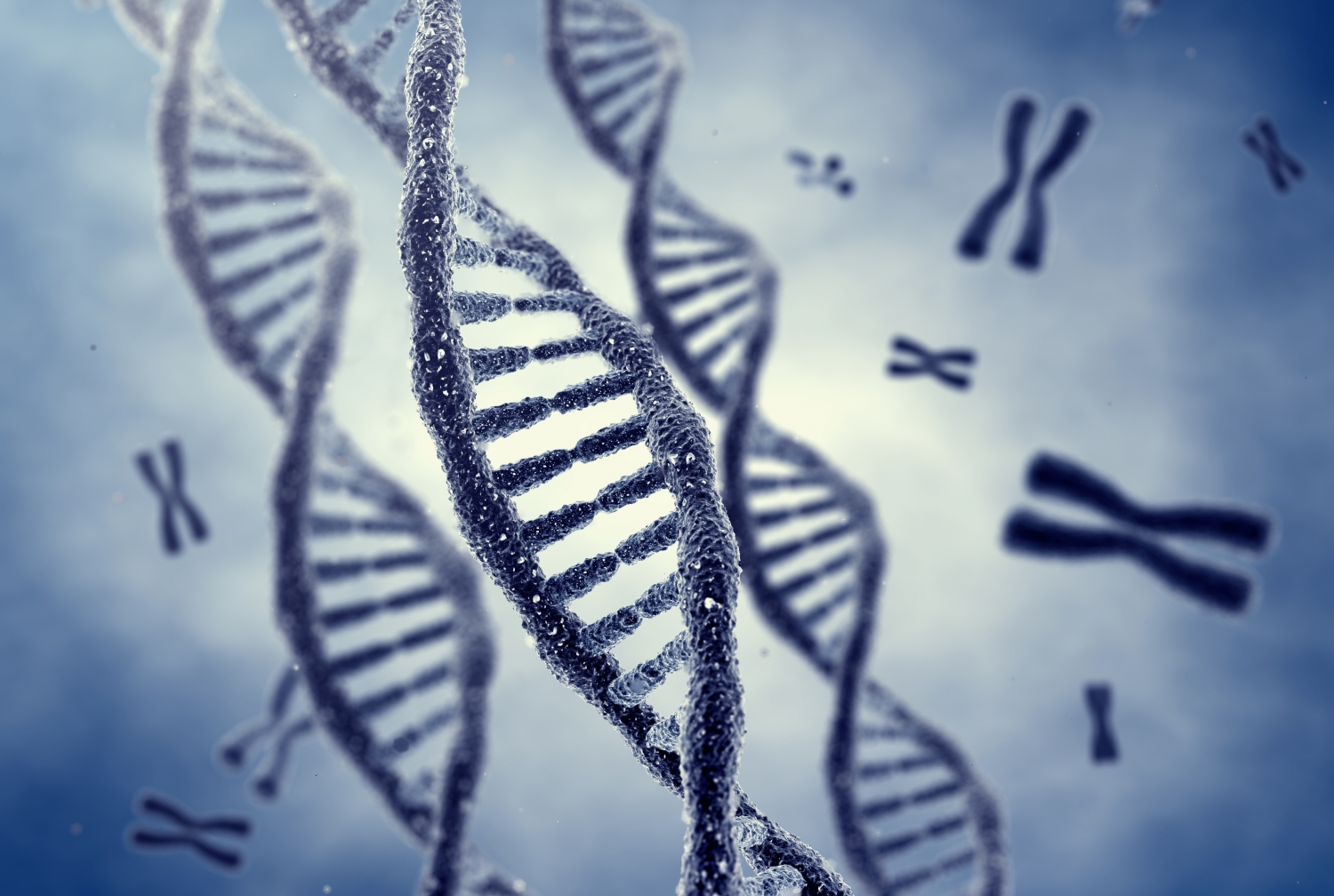 A graphic of DNA
