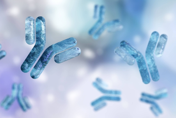 a stock image of antibodies